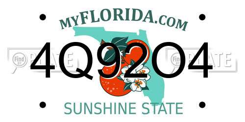 4Q92O4 Florida License Plate