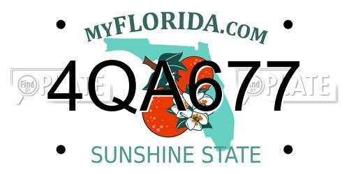 4QA677 Florida License Plate
