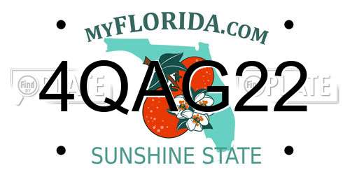 4QAG22 Florida License Plate