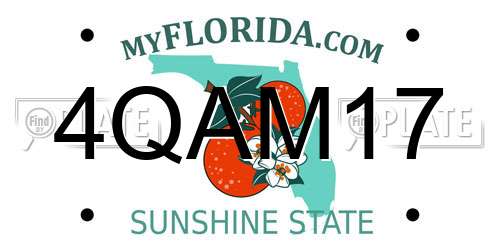 4QAM17 Florida License Plate