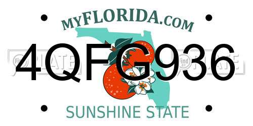 4QFG936 Florida License Plate