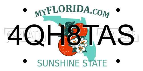 4QH8TAS Florida License Plate
