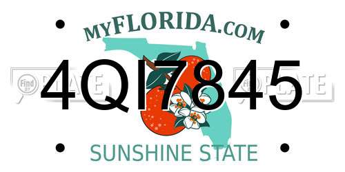 4QI7845 Florida License Plate