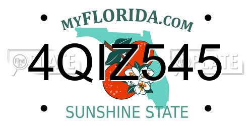 4QIZ545 Florida License Plate