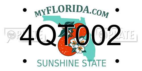 4QT002 Florida License Plate