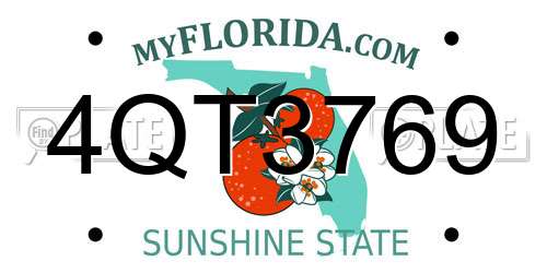 4QT3769 Florida License Plate