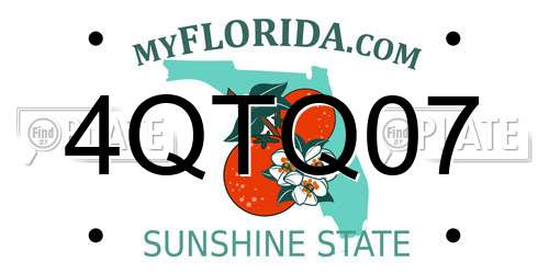 4QTQ07 Florida License Plate