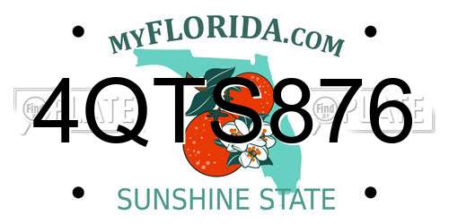 4QTS876 Florida License Plate