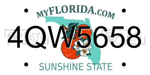 4QW5658 Florida License Plate