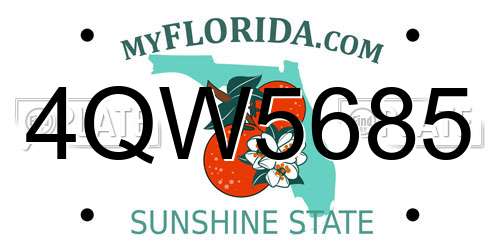 4QW5685 Florida License Plate