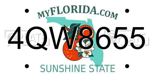 4QW8655 Florida License Plate