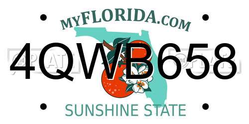 4QWB658 Florida License Plate