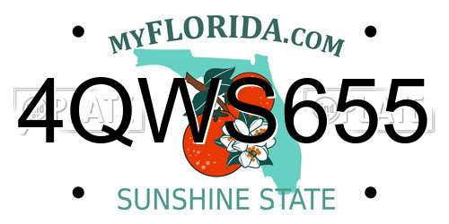 4QWS655 Florida License Plate