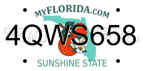 4QWS658 Florida License Plate
