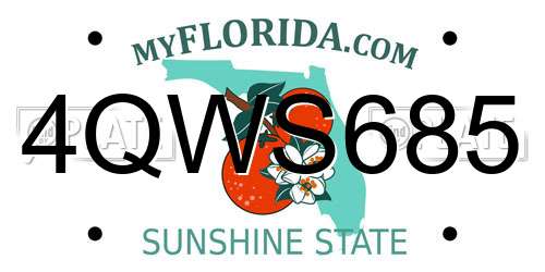 4QWS685 Florida License Plate