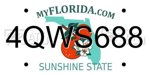 4QWS688 Florida License Plate