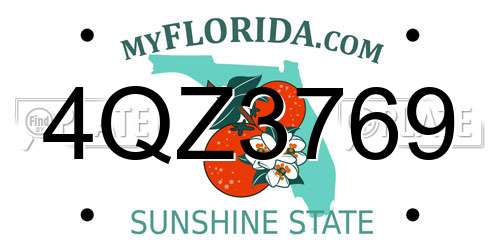 4QZ3769 Florida License Plate