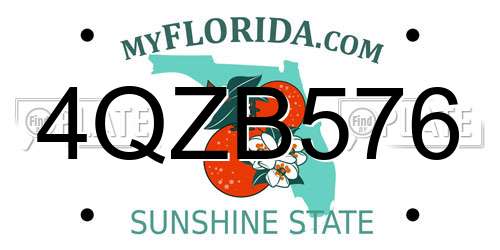 4QZB576 Florida License Plate