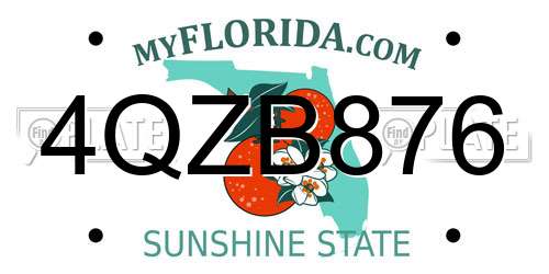 4QZB876 Florida License Plate