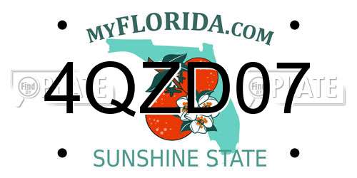 4QZD07 Florida License Plate