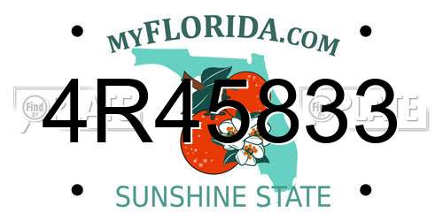 4R45833 Florida License Plate