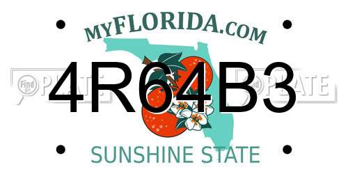 4R64B3 Florida License Plate
