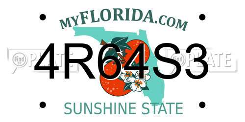 4R64S3 Florida License Plate