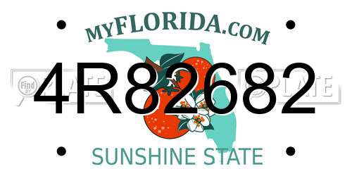 4R82682 Florida License Plate