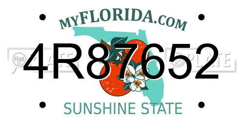 4R87652 Florida License Plate