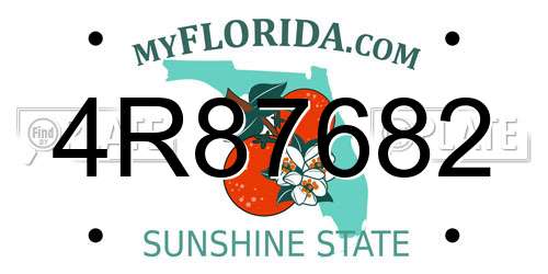 4R87682 Florida License Plate