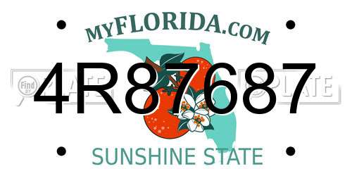 4R87687 Florida License Plate