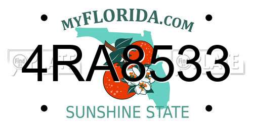 4RA8533 Florida License Plate