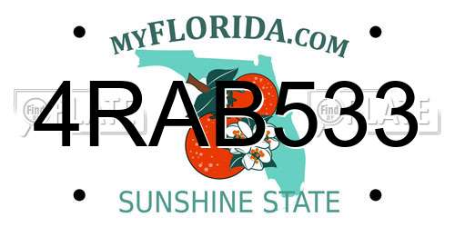 4RAB533 Florida License Plate