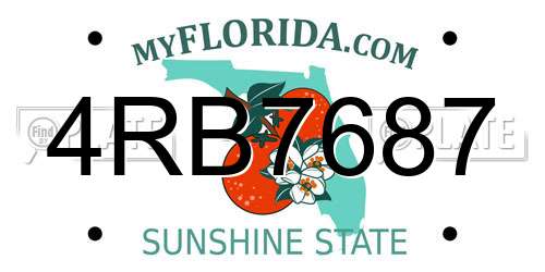 4RB7687 Florida License Plate