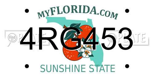 4RG453 Florida License Plate