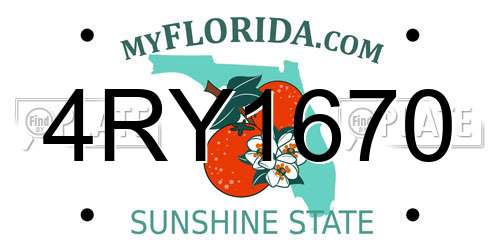 4RY1670 Florida License Plate