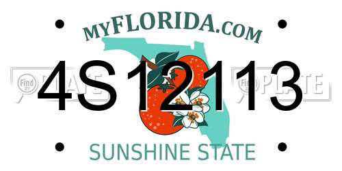 4S12113 Florida License Plate