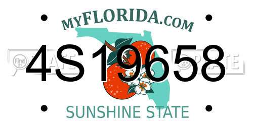 4S19658 Florida License Plate