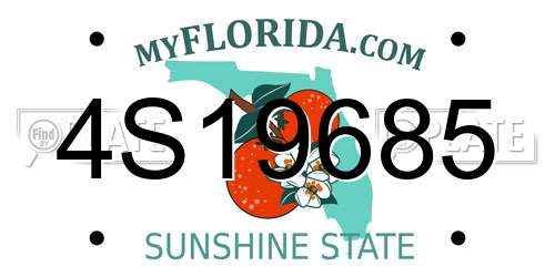 4S19685 Florida License Plate