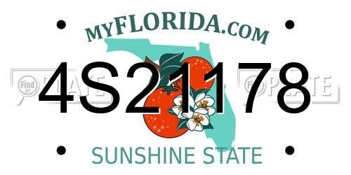 4S21178 Florida License Plate
