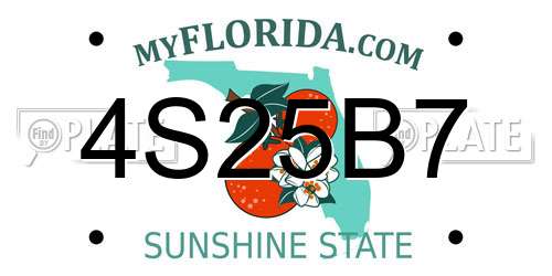 4S25B7 Florida License Plate