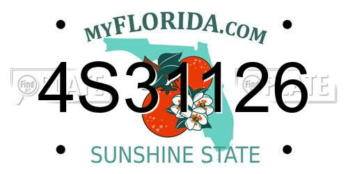 4S31126 Florida License Plate