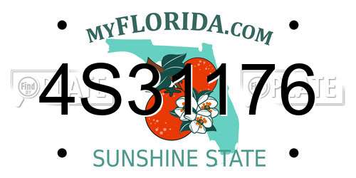 4S31176 Florida License Plate