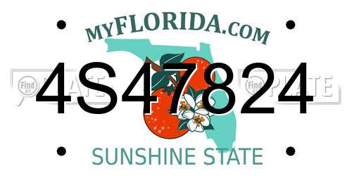 4S47824 Florida License Plate