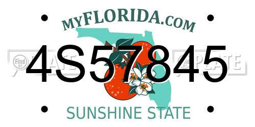 4S57845 Florida License Plate