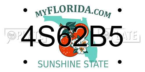 4S62B5 Florida License Plate