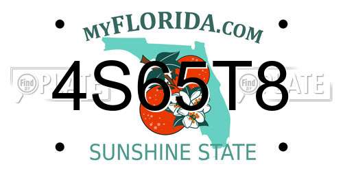 4S65T8 Florida License Plate