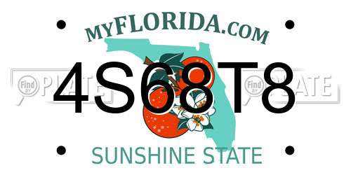 4S68T8 Florida License Plate