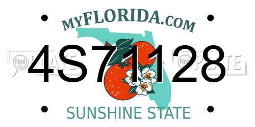 4S71128 Florida License Plate