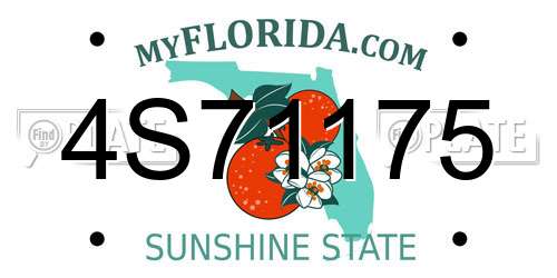4S71175 Florida License Plate